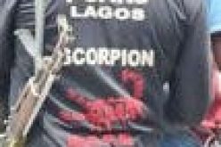 SARS tortured my brother to death, petitioner tells NHRC panel