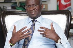 Lagos-Badagry Expressway not forgotten – Fashola