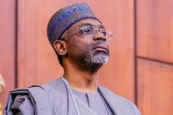 Nigeria’s health sector will emerge stronger from COVID-19 — Gbajabiamila