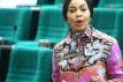 Reps Deputy Whip, Onyejeocha denies arrest by DSS