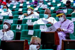 Reps task INEC on constituency delineation