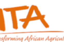 Agribusiness: IITA, NASC, NRCRI to meet farmers’ demand of over N10bn on cassava stems