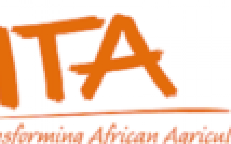 IITA, SANO Food partner to launch new cassava seed varieties, organic foods