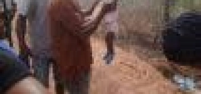 4 dead as truck rams into bus in Asaba