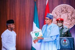 Presidency: FG poised to do more through ESP
