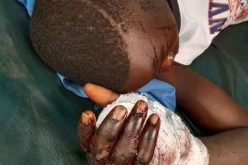Herder attacks 58-yr-old man, son over missing cow in Bayelsa