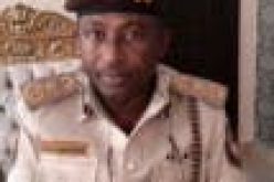NIS intercepts irregular Cameroonian immigrant