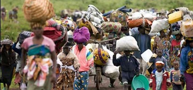 FG to begin repatriation of Nigerian refugees from Cameroon, Niger, Chad
