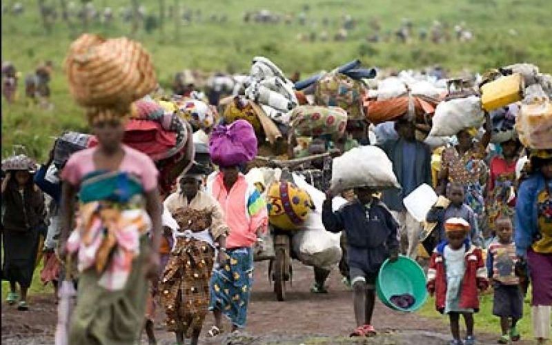 FG to begin repatriation of Nigerian refugees from Cameroon, Niger, Chad