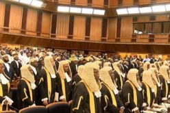 We must take cognizance of our errors, CJN tells judges