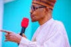 Diversification: FG to consider mining, agriculture as viable options