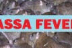 Taraba loses doctor to Lassa Fever complication