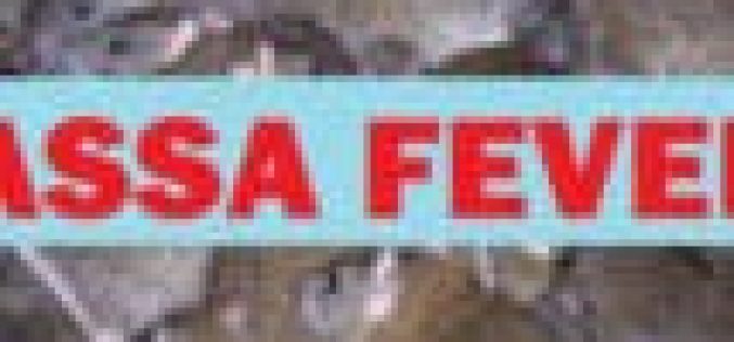 Taraba loses doctor to Lassa Fever complication