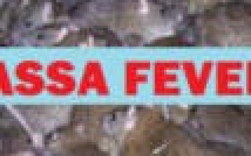 Taraba loses doctor to Lassa Fever complication