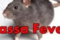 Taraba loses doctor to lassa fever complication