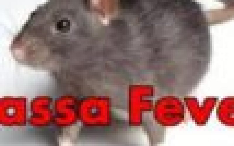 Taraba loses doctor to lassa fever complication