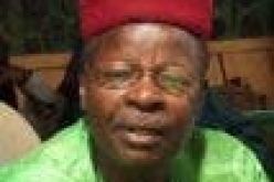 Niger opposition leader, Ousmane, claims election win despite official results