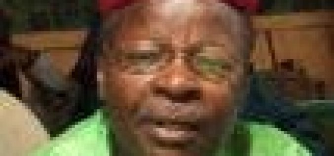 Niger opposition leader, Ousmane, claims election win despite official results