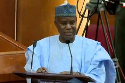 CALL ON UNARMED NIGERIANS TO DEFEND THEMSELVES: Magashi, Defence minister under fire