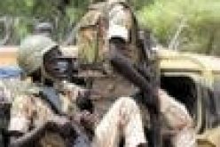 Two Mali soldiers killed in ambush