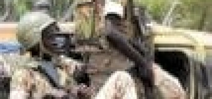 Two Mali soldiers killed in ambush