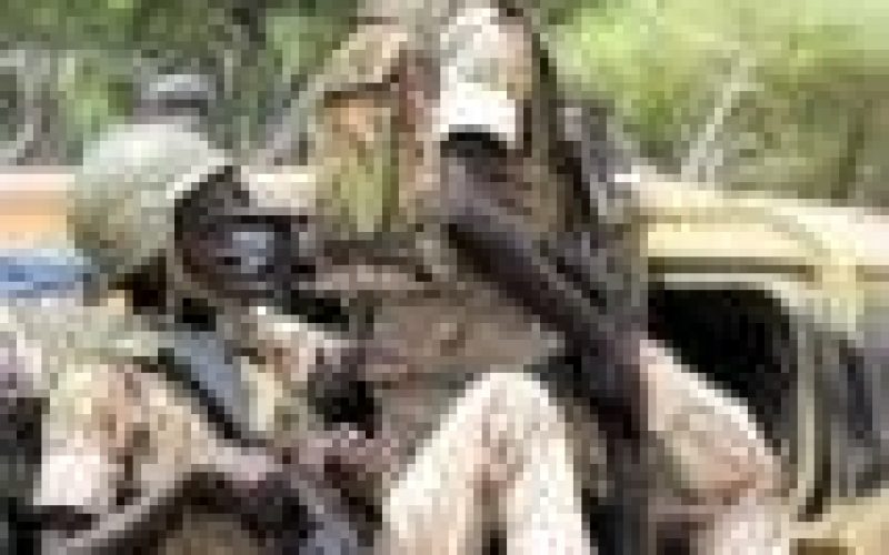 Two Mali soldiers killed in ambush