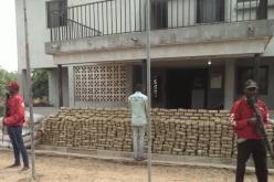 NDLEA seizes 1,292kg of illicit drug in Ondo forest, arrests 9
