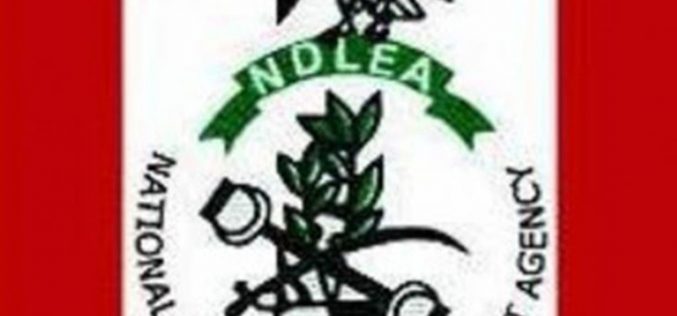 Seme Customs hands over illicit drugs to NDLEA
