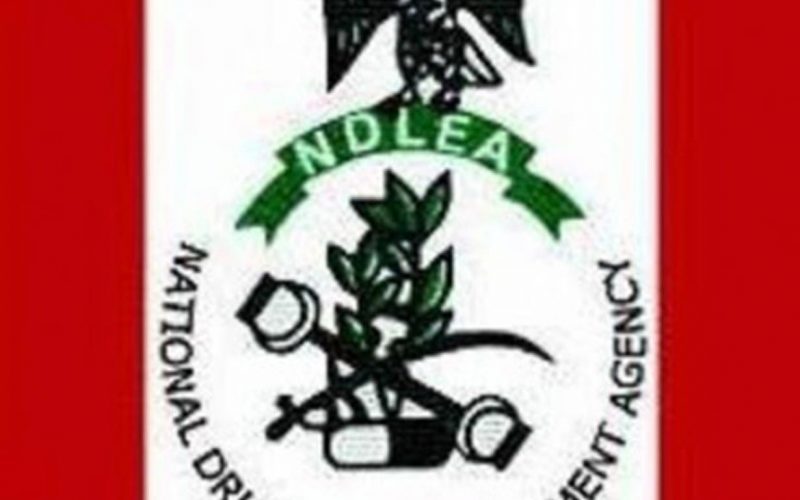 NDLEA custody not necessarily punitive but reformative – Directorate