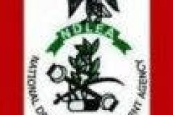 NDLEA confiscates over N17m worth of illicit drugs