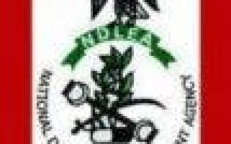 NDLEA confiscates over N17m worth of illicit drugs