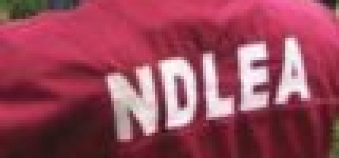 NDLEA arrests 116 drug offenders in one year in Enugu