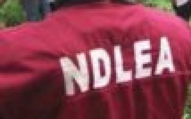 NDLEA arrests 70-year-old bandits’ drug supplier in Niger