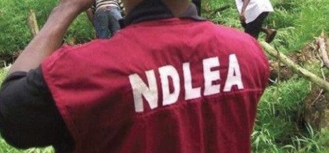 NDLEA nabs 2 drug traffickers with N264m cocaine in Abuja