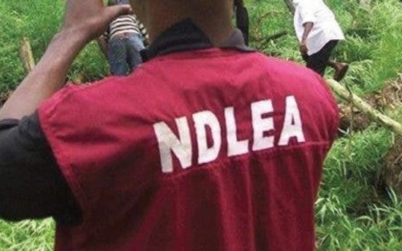 NDLEA nabs 2 drug traffickers with N264m cocaine in Abuja