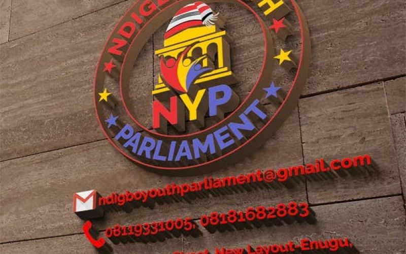 Reserve all minister of state positions for youths, NYP Speaker charges FG
