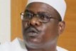 2023: APC having presidential candidate from North unconstitutional —Ndume