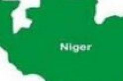 Police nab 15-year-old student suspect for alleged attempted kidnap in Niger