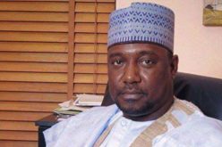 Boko Haram hoists flags in captured Niger villages — Gov Bello