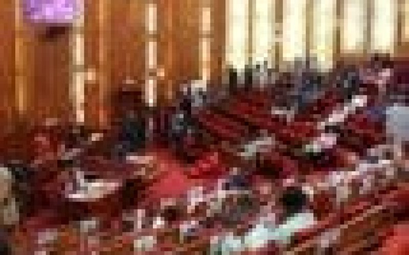 Senate to Establish Bitumen Training Institute in Ondo