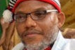 Asking ESN to collaborate with Ebubeagu is like asking Lucifer to midwife birth of Christ – IPOB