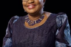 WTO: Ohanaeze, ADF congratulate Okonjo-Iweala