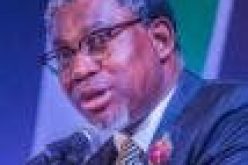 FG to auction bitumen blocs in Q3 — Adegbite