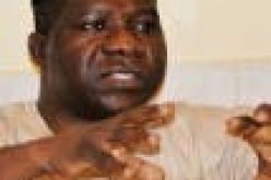 Allow governors take charge of security in their domains— Bamidele