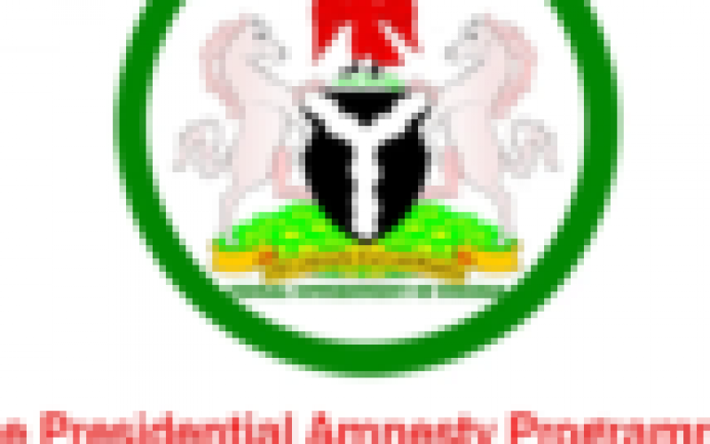 PAP issues fraud alert, denies appointment of reps to N-Delta crisis-ridden communities