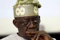 Tinubu tasks Nigerians on national unity