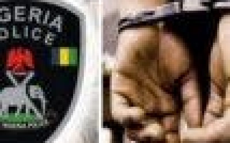 Theft: I engaged in phone snatching because I’m broke – Vigilante officer confesses