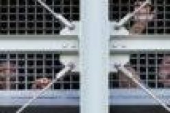 At least 62 inmates dead in Ecuador prison riots