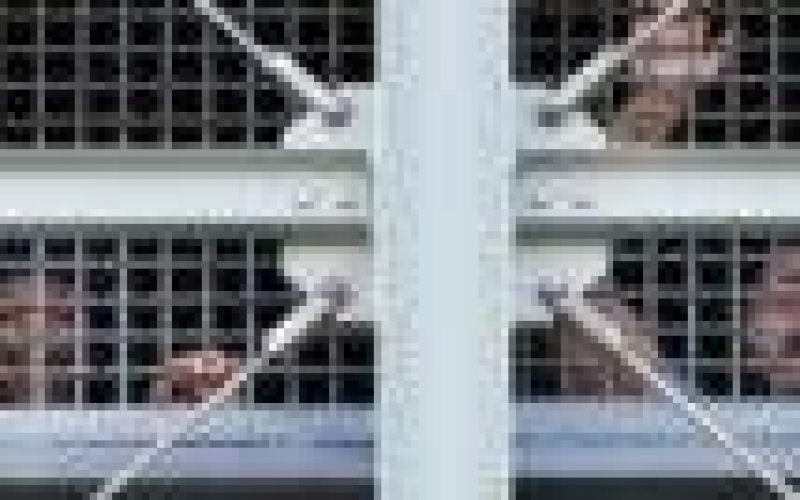 At least 62 inmates dead in Ecuador prison riots