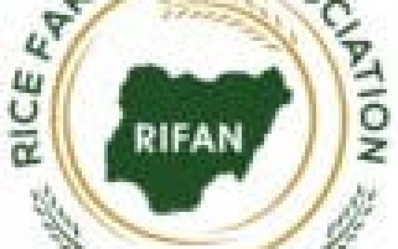 RIFAN urges FG to introduce additional measures on rice production, processing